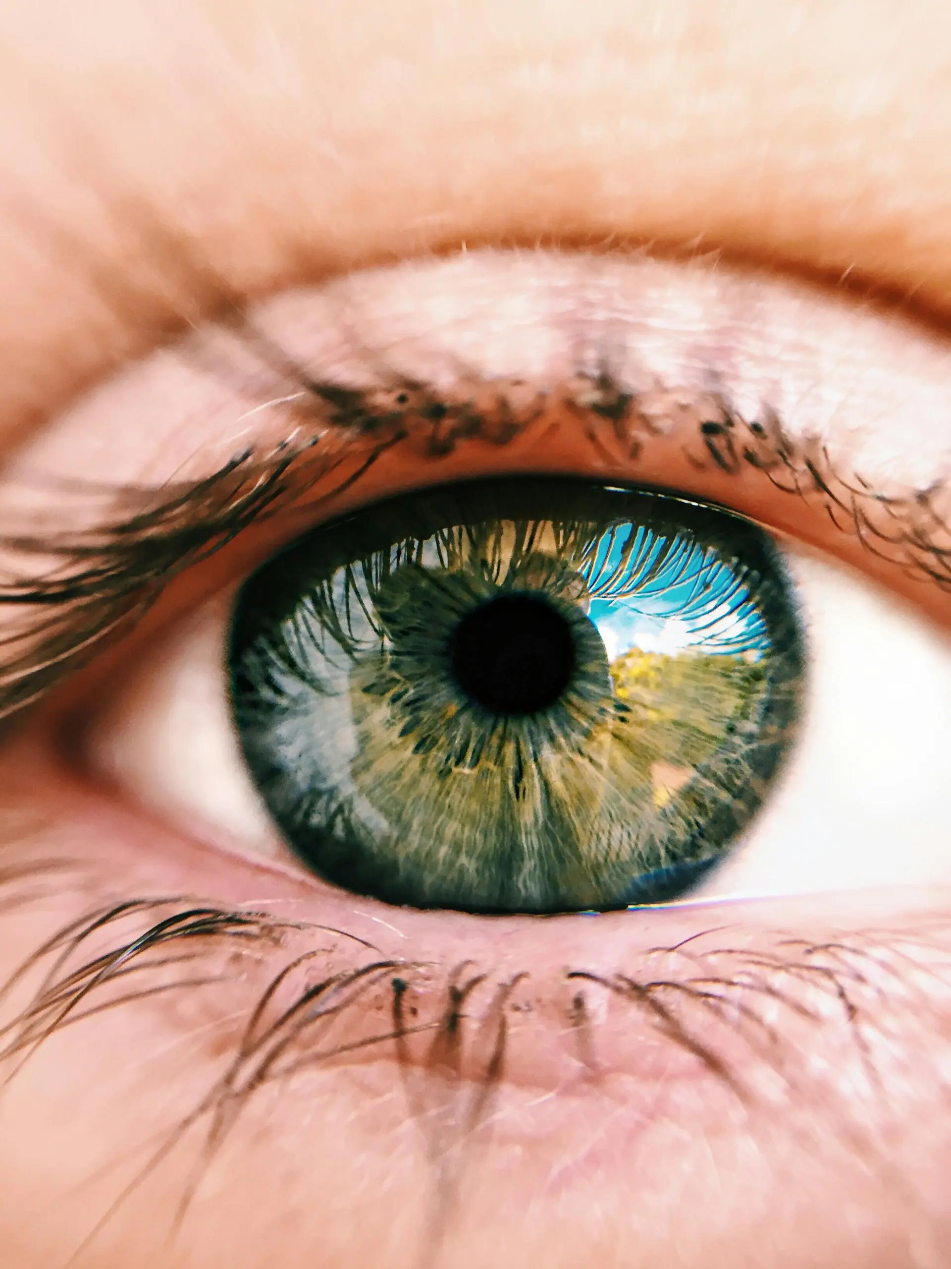 Macular degeneration, cataracts, and glaucoma: The most common eye diseases