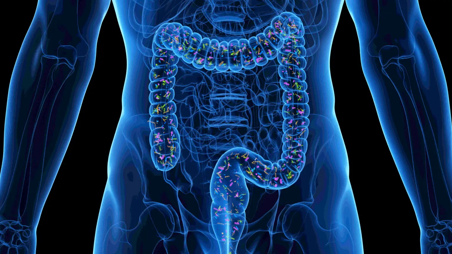 Podcast: The Importance of the Microbiome