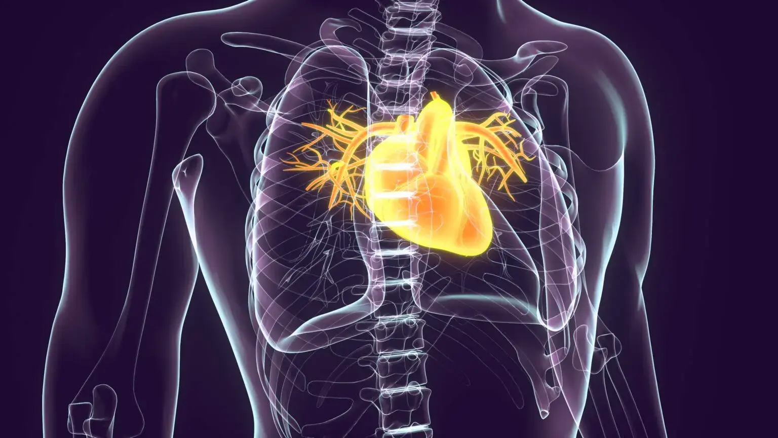 Podcast Heart Health with Dr. Ferdinand Vogt